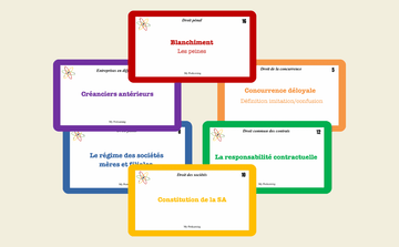 PACK RÉUSSITE | UE1 DSCG - Fiches de Révision