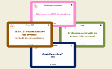 PACK RÉUSSITE | UE4 DSCG - Fiches de Révision