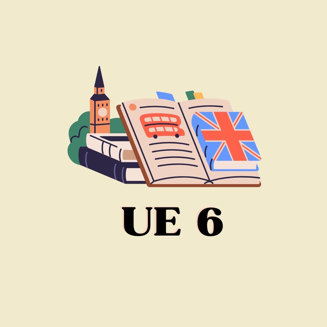 Stratégies de Révision pour l'UE 6 Anglais des Affaires - My Prolearning