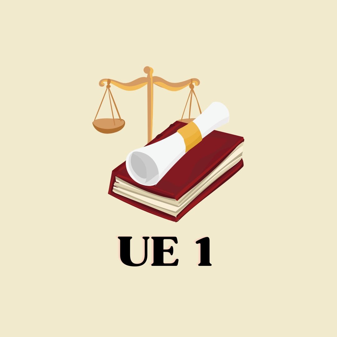 UE 1 du DSCG: Astuces et Conseils pour Réussir 🎓 - My Prolearning