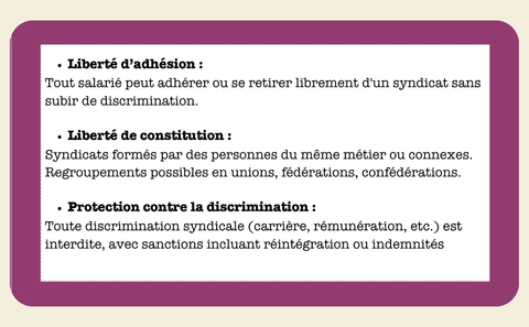 FICHES ASPECTS COLLECTIFS DU DROIT DU TRAVAIL - My Prolearning