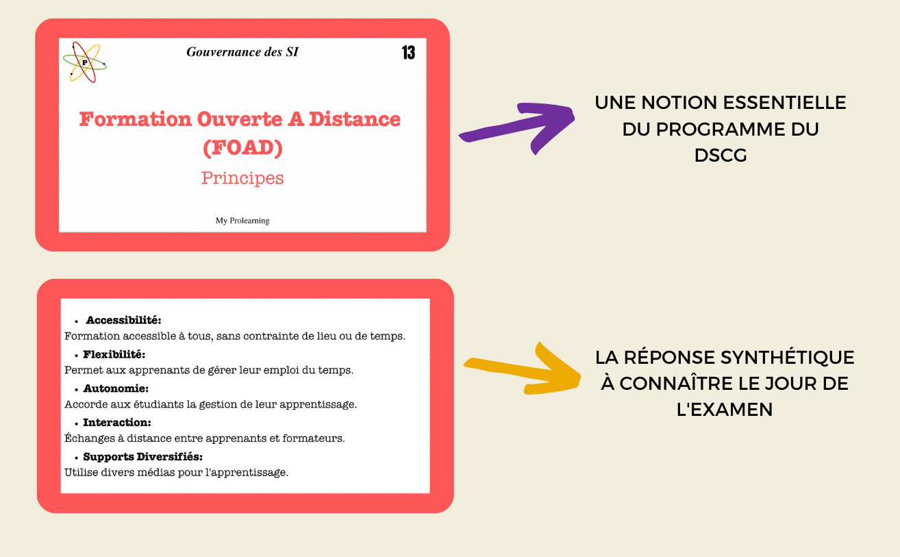FICHES GOUVERNANCE DES SI - My Prolearning