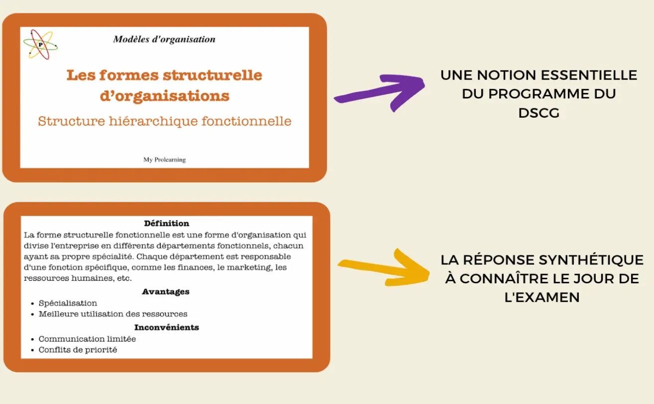 FICHES MODÈLES D'ORGANISATION - My Prolearning 