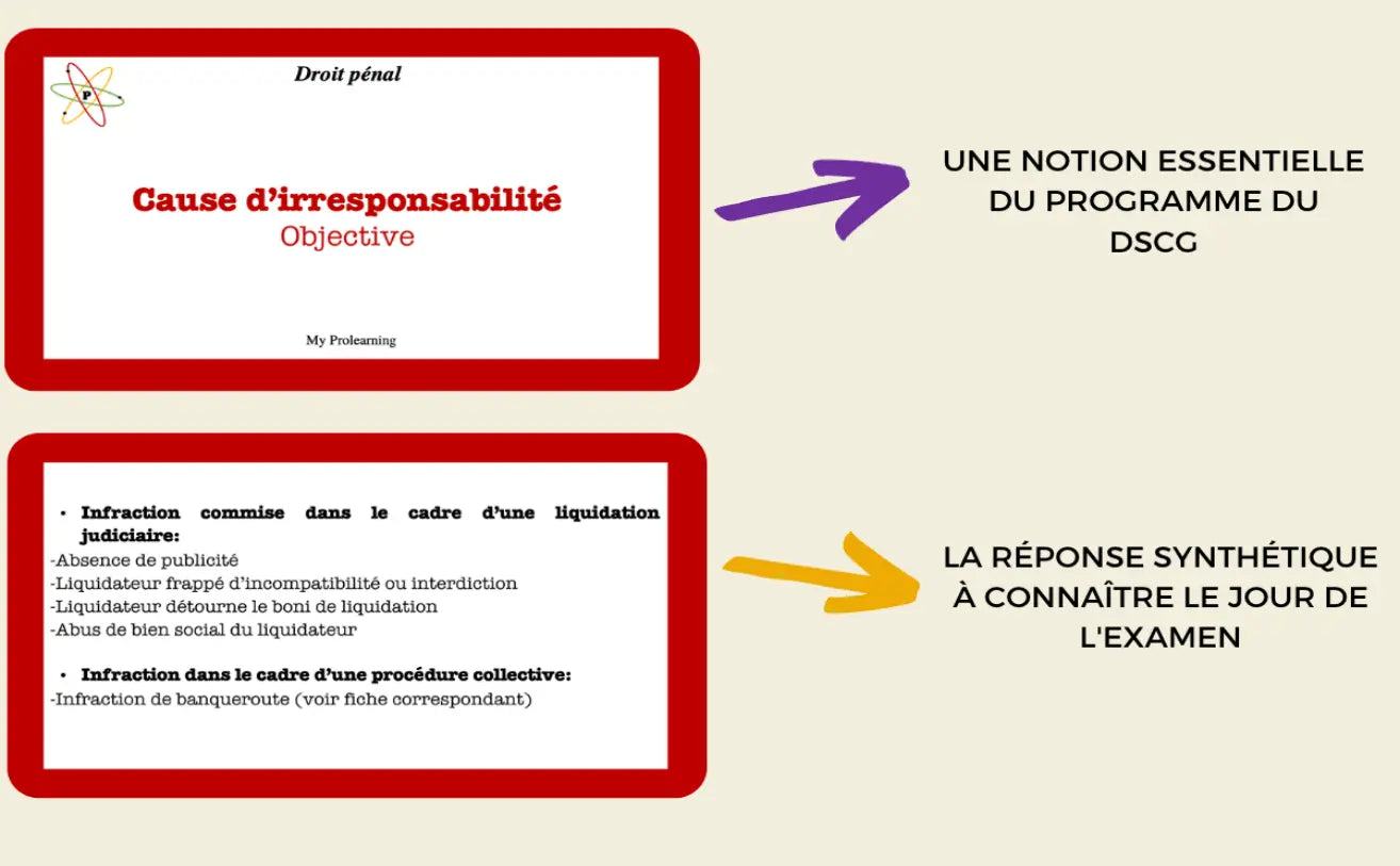 FICHES DROIT PENAL - My Prolearning 