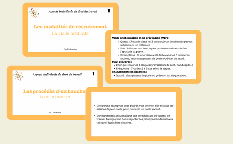 FICHES ASPECTS INDIVIDUELS DU DROIT DU TRAVAIL - My Prolearning
