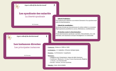 FICHES ASPECTS COLLECTIFS DU DROIT DU TRAVAIL - My Prolearning