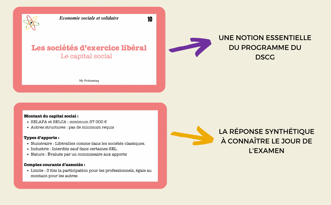 FICHES ÉCONOMIE SOCIALE ET SOLIDAIRE - My Prolearning