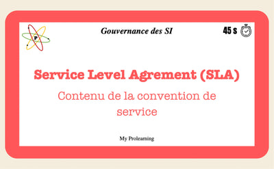 FICHES GOUVERNANCE DES SI - My Prolearning 