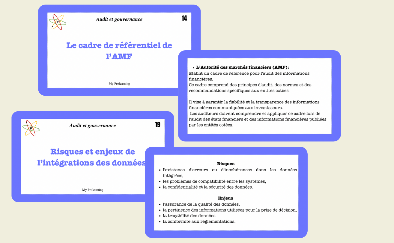 FICHES AUDIT ET GOUVERNANCE - My Prolearning