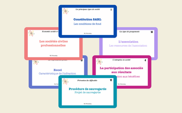 PACK RÉUSSITE | UE2 DCG - Fiches de Révision